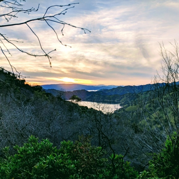 Meet your Posher, Valerie - Picture 1 of 1